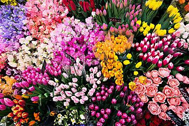 网易起诉暴雪案项目减少且全部延期 复合还有戏？